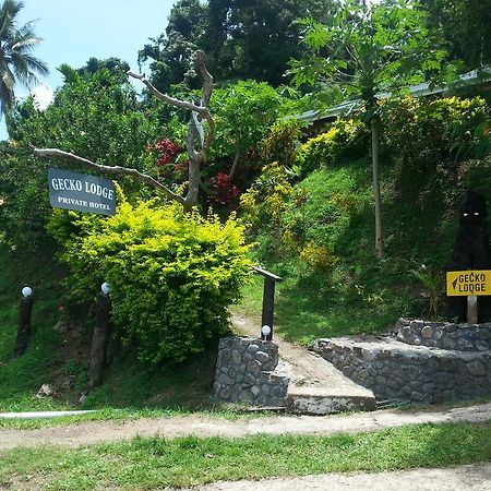 Gecko Lodge Fiji Савусаву Екстериор снимка