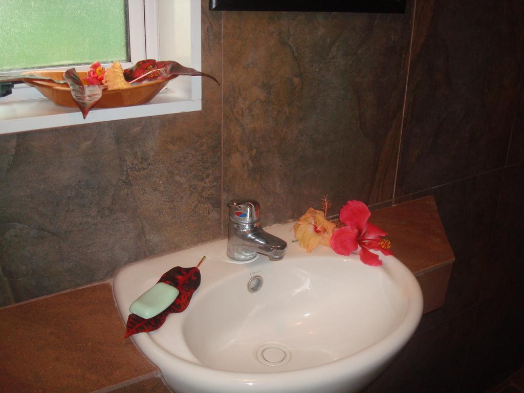 Gecko Lodge Fiji Савусаву Стая снимка