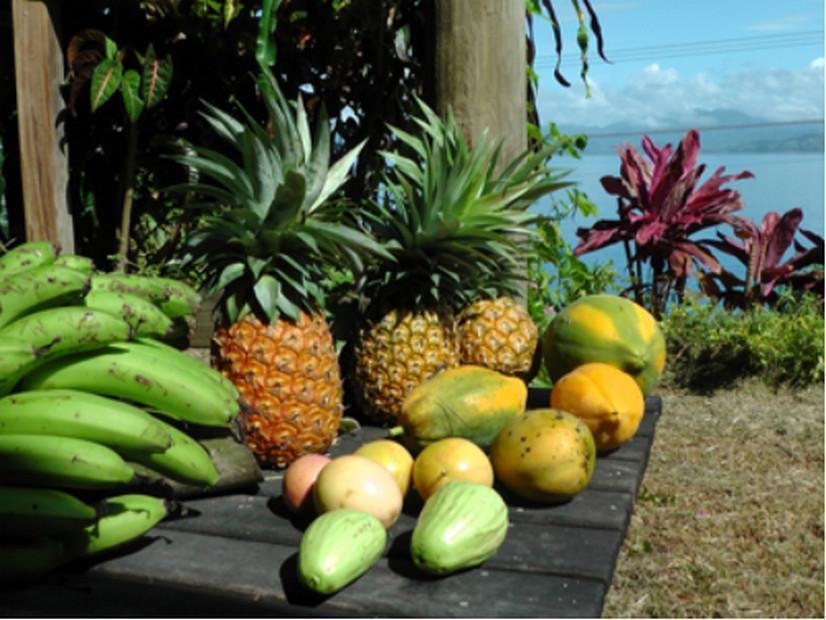 Gecko Lodge Fiji Савусаву Екстериор снимка
