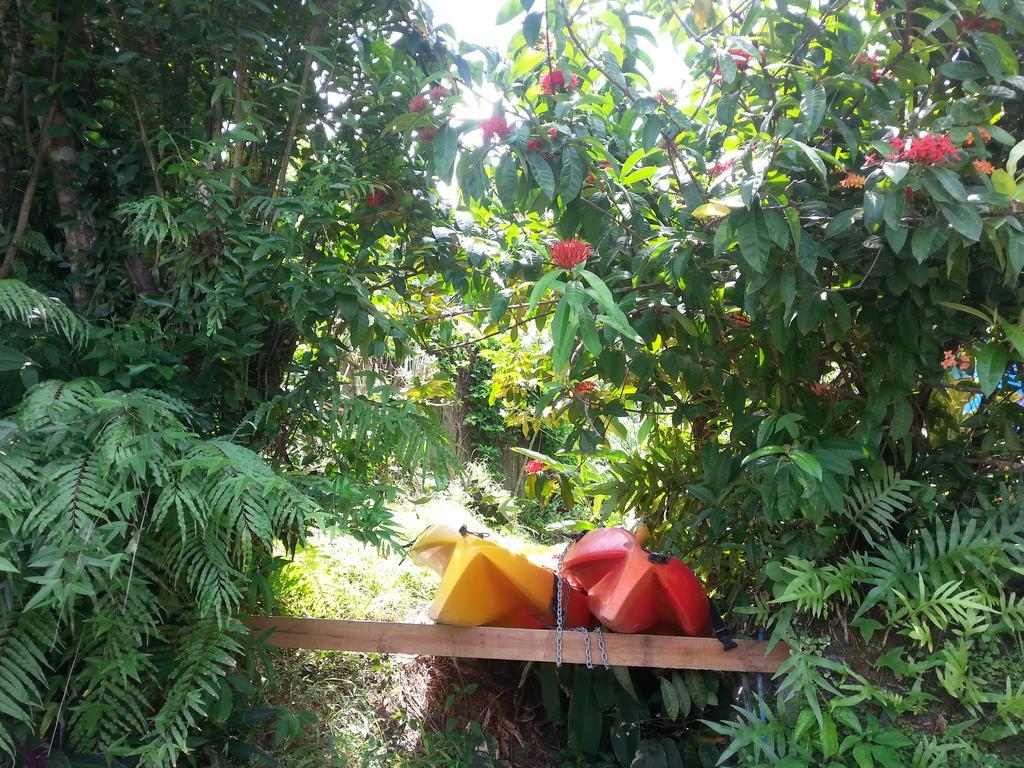 Gecko Lodge Fiji Савусаву Екстериор снимка